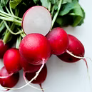 RADISH EXTRACT