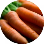 OILCARROT
