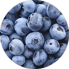 EXTRACT OFORGANIC BLUEBERRY