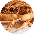 EXTRACT OFGINSENG
